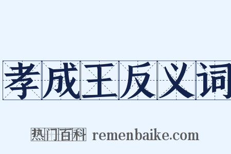 孝成王反义词是什么意思的图片
